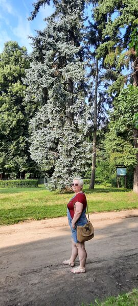  Warszawa,   , 53 ,   ,   , c 