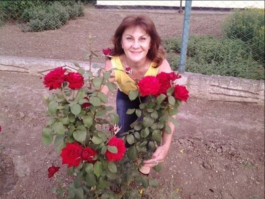  ,   , 61 ,  