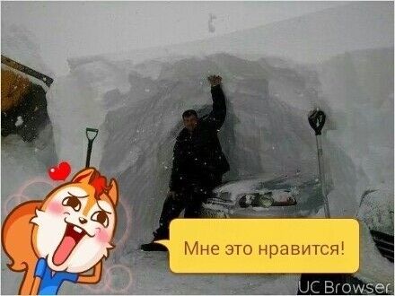 ���������� ������, ���� ������� �����, 37 ���, ������������ ��� ������, ����� � ���������, c�������� ���������