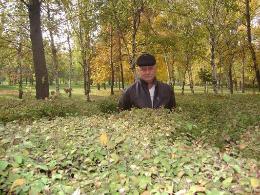  ,   , 61 ,   ,   , c 
