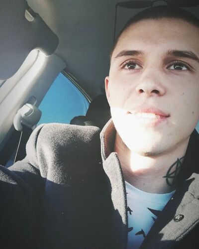 ,   Art, 28 ,   