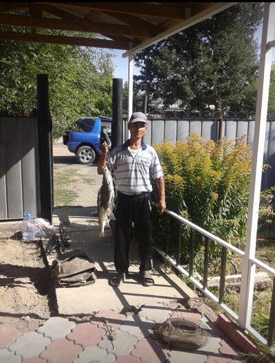  ,   Gennadij, 64 ,   ,   , c 