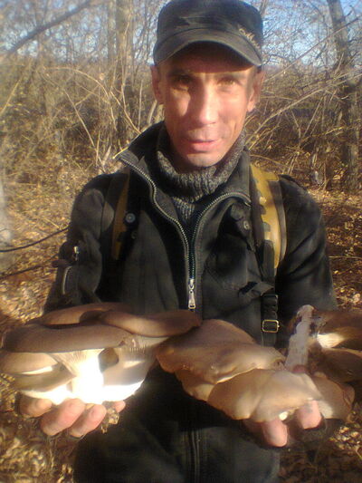  -,   Kostya, 52 ,   ,   