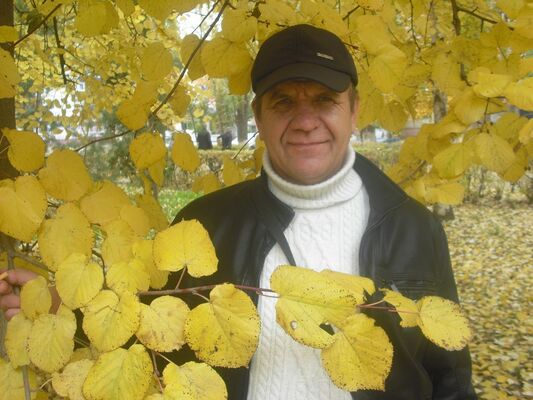  ,   , 62 ,   ,   