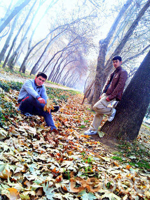 ���������� ���������, ���� ������� KamoL, 31 ���, ������������ ��� ������, ����� � ���������, c�������� ���������