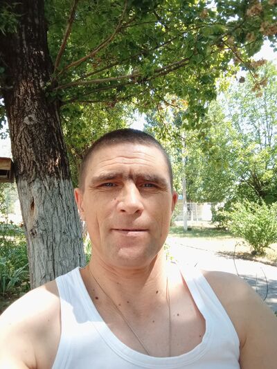 ,   Dima, 43 ,   ,   , c , 