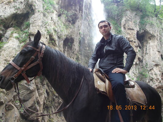  ,   , 38 ,     , c 
