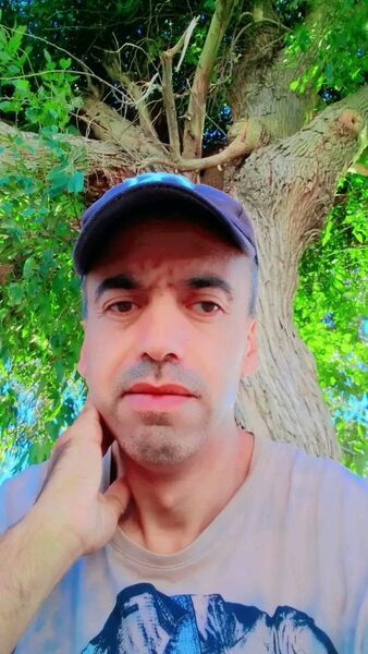  ,    , 43 ,   ,   