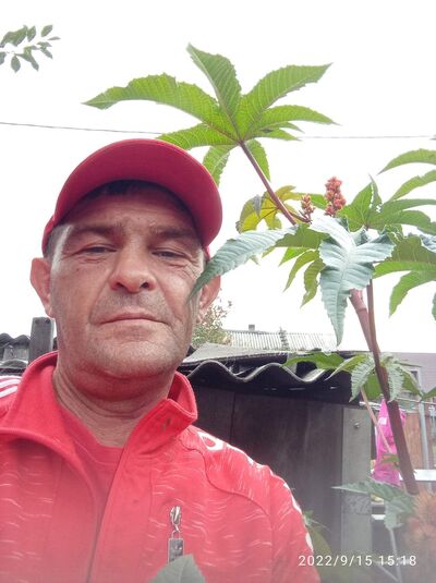  ,   , 51 ,   