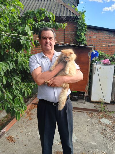  ,   , 57 ,   ,   , 