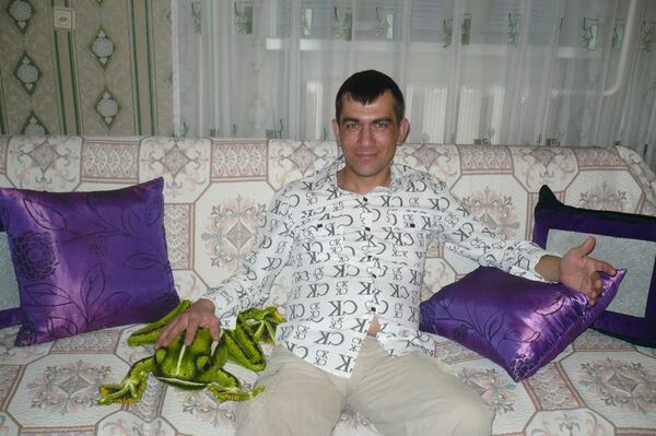  ,   , 51 ,   ,   , c 
