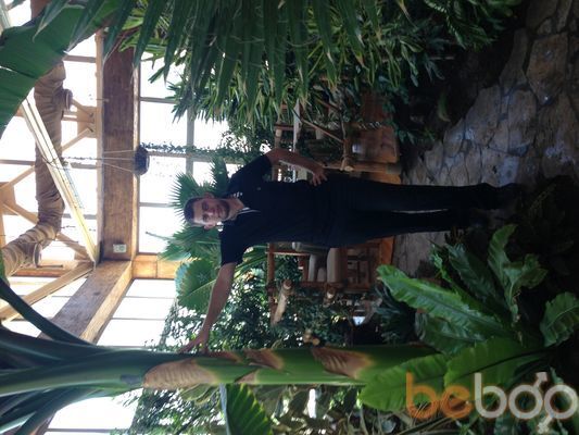  ,   Sego, 37 ,   ,   , c 
