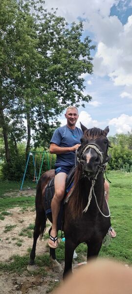  ,   , 40 ,   ,   , c , 