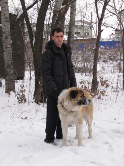  ,   Vladimir, 50 ,   ,   , c 