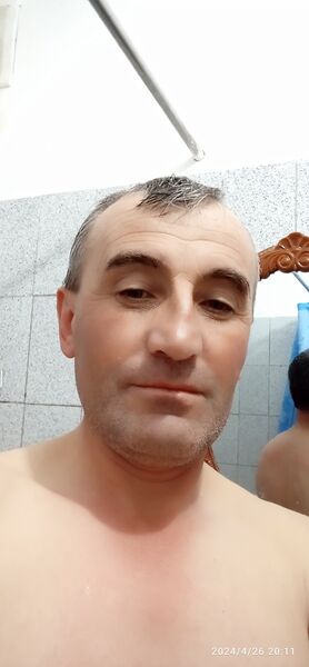  ,   , 46 ,   ,   