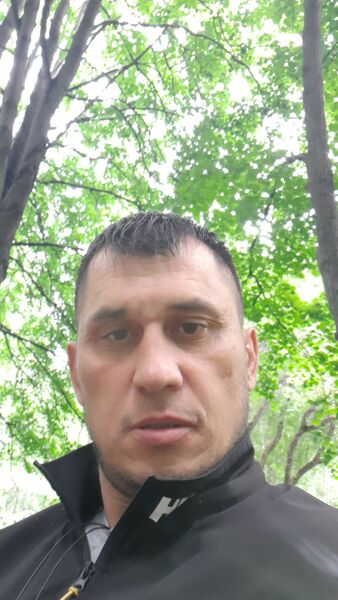  ,    , 41 ,   ,   