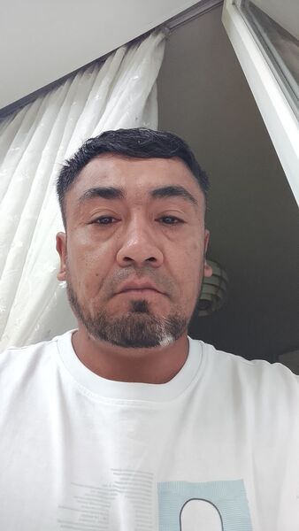  ,   , 43 ,   ,   