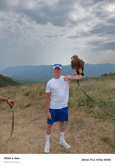  ,   , 44 ,   ,   , c , 