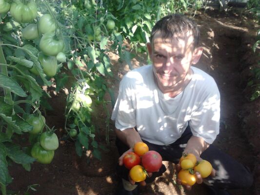  ,   Aleks, 48 ,   ,   , c 