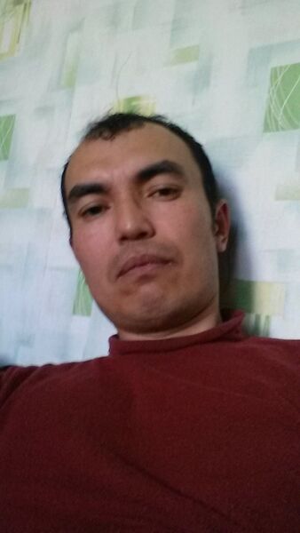  ,   Erbol, 44 ,   