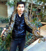  ,   946 615 774B, 35 ,  