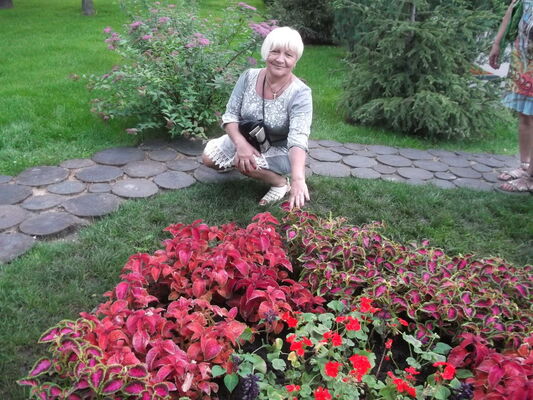  ,   Elena, 62 ,     , c 