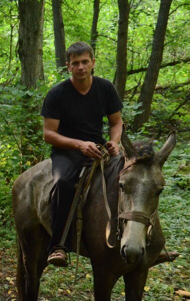  ,   , 46 ,   ,   , c 