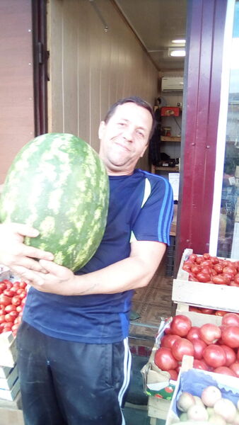  ,   , 54 ,  