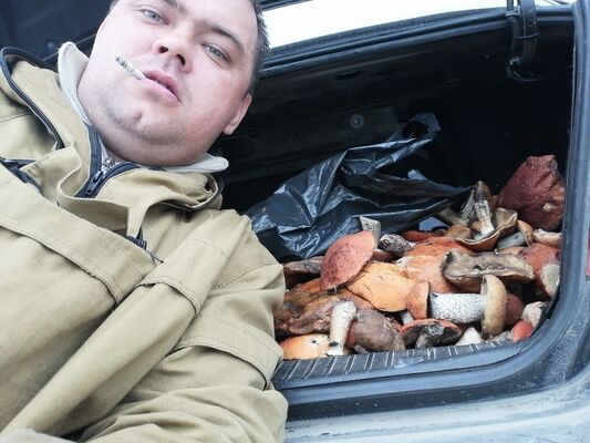  ,   , 41 ,   ,   , c , 