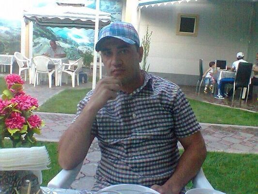  ,   Fir, 38 ,   ,   