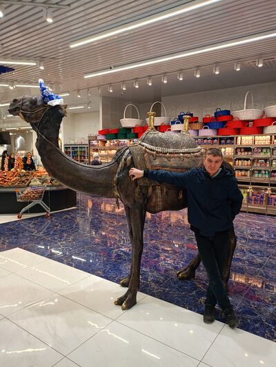  ,   , 42 ,   ,   , c , 