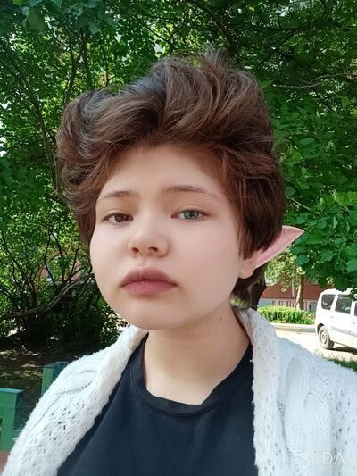   ,   , 20 ,  