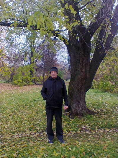  -,   , 71 ,   ,   , c 
