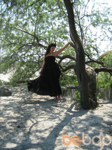 ���������� ����, ���� ������� ������, 37 ���, ������������ 