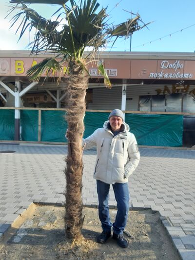  ,   , 53 ,   ,   