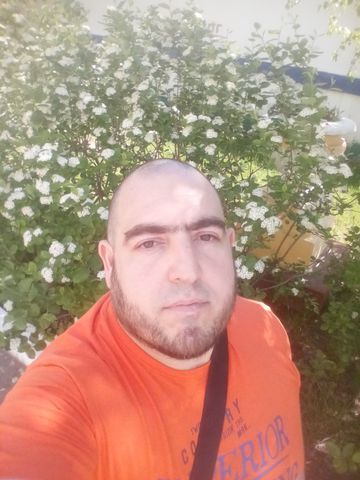 44926389  , 44 ,    