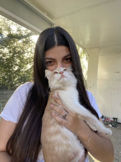  ,   , 18 ,   ,   