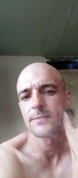  ,   , 33 ,     , c , 
