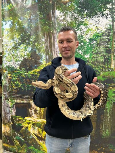  ,   , 40 ,   ,   