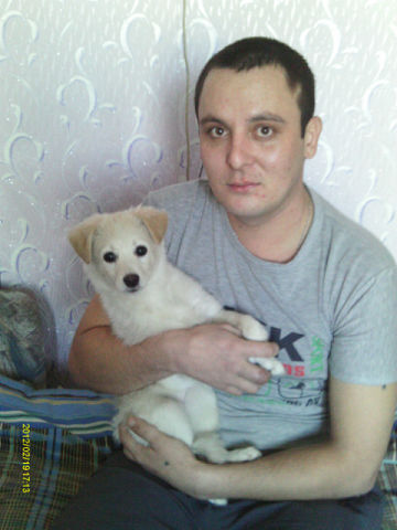  ,   , 43 ,   c , 