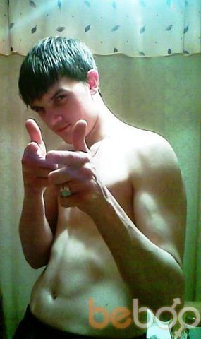  ,   Tier, 34 ,   , 