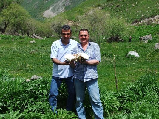 ,   Farhod, 56 ,   