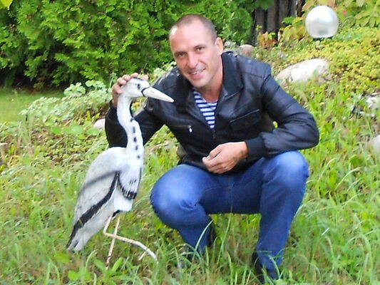  ,   , 51 ,   ,   , c 