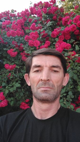  --,   , 50 ,   c 