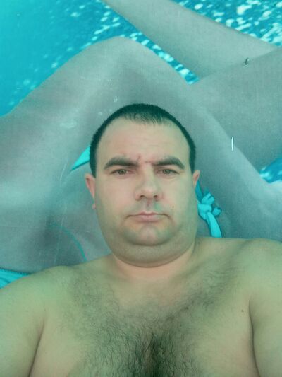  Alba Iulia,   , 42 ,   ,   