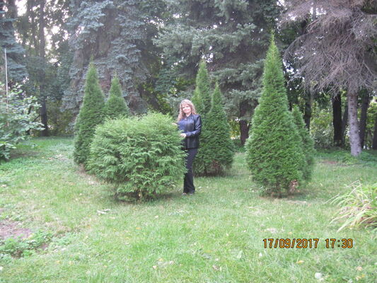   ,   , 44 ,     , c 