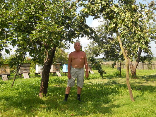  ,   , 71 ,   