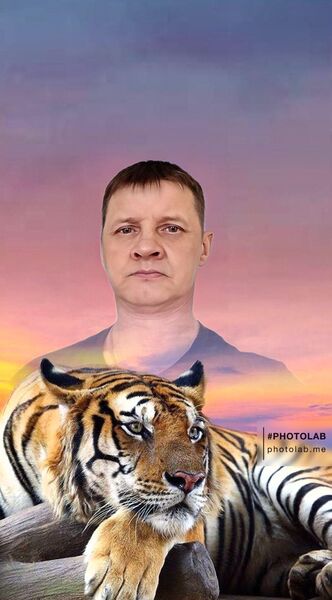  ,   , 56 ,     , c , 