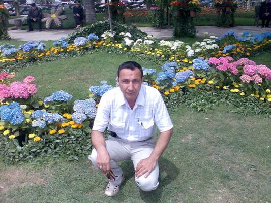  ,   , 62 ,  