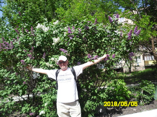  Very,   , 52 ,   